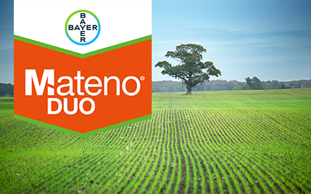 Mateno Duo logo og træ på mark.